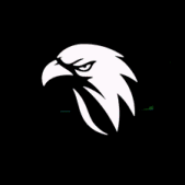 Logo del Servidor 2